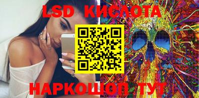 гидропоника Сланцы