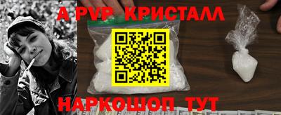 гидропоника Сланцы