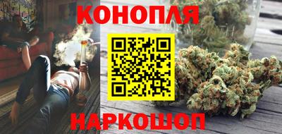 гидропоника Сланцы