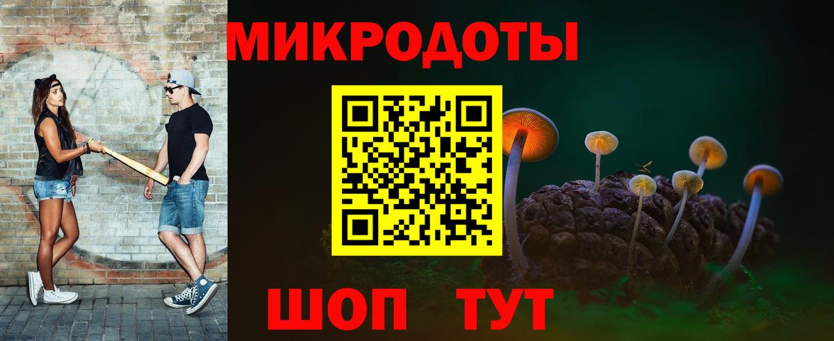 Псилоцибиновые грибы мицелий Новочебоксарск
